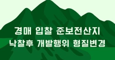 경매 보전산지 임야