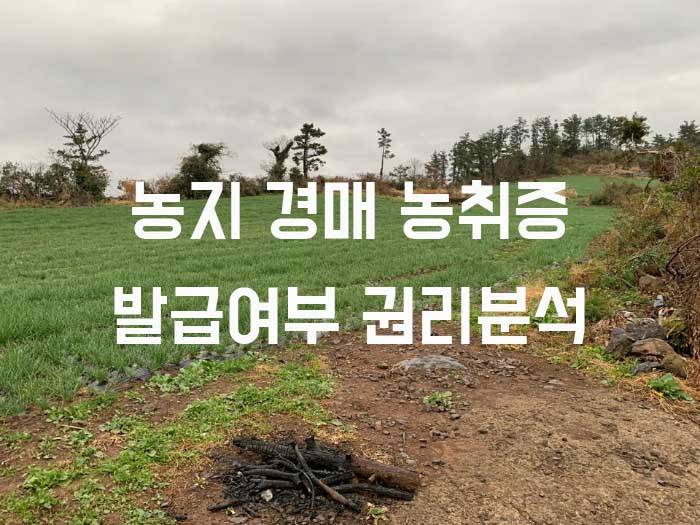 대법원경매 농지 입찰 농지취득자격증명서 농취증 발급 법정지목 실제현황 체크