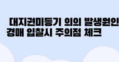 대지권미등기 경매 입찰 감정평가서상에 감정평가된것 입찰