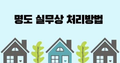 부동산 경매 낙찰후 인도명령 명도소송