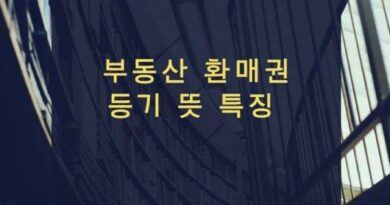 부동산 환매권 등기 뜻 특징 일정 기간내 매도인 그 부동산 매수할수 있는 권리