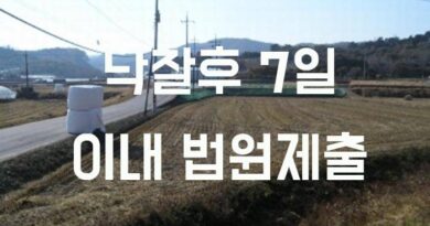 농지취득자격증명원 낙찰후 7일이내 제출