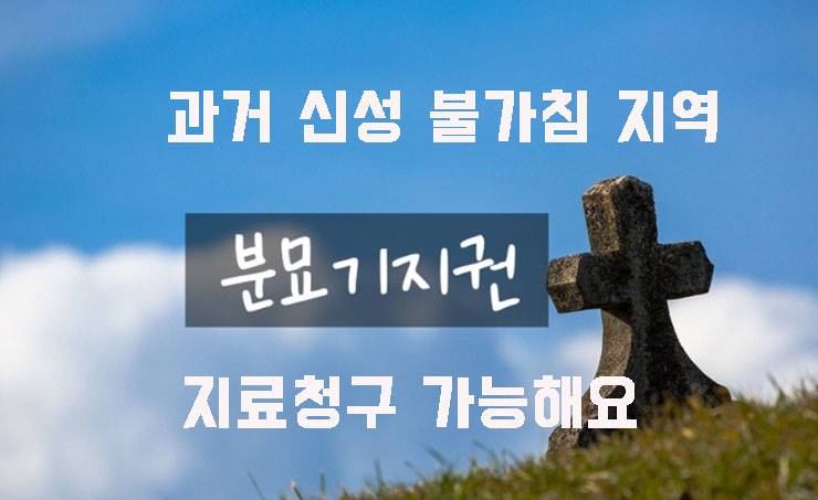 분묘기지권 경매 매매 지료 청구 가능